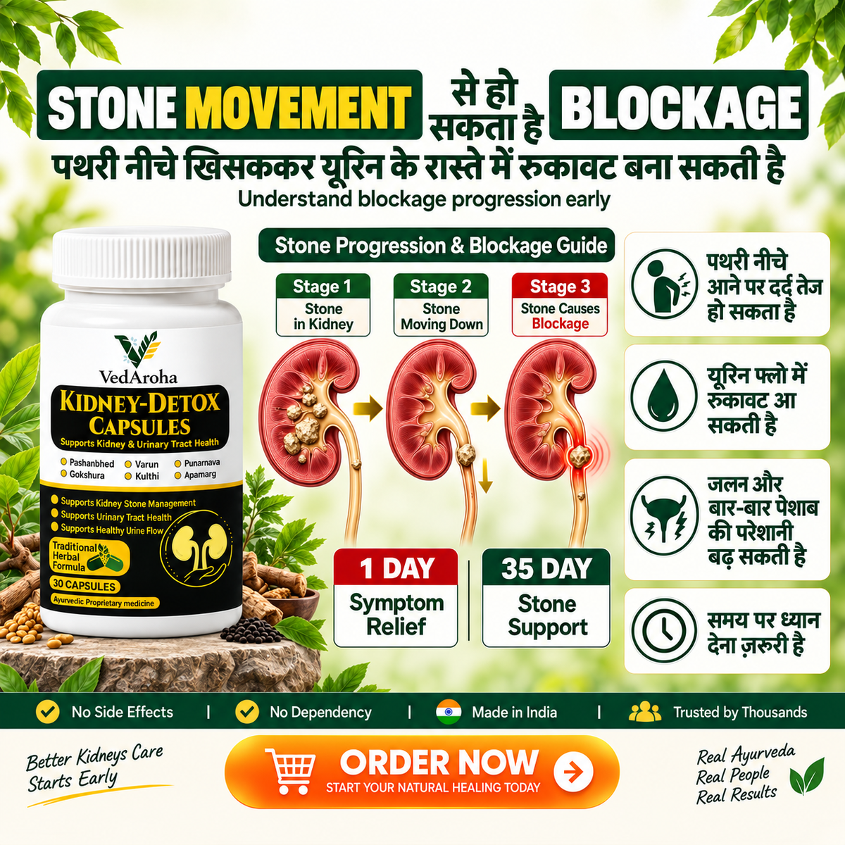 VedAroha Stone Out Tablets | Kidney & Bladder Stone Remover | Ayurvedic