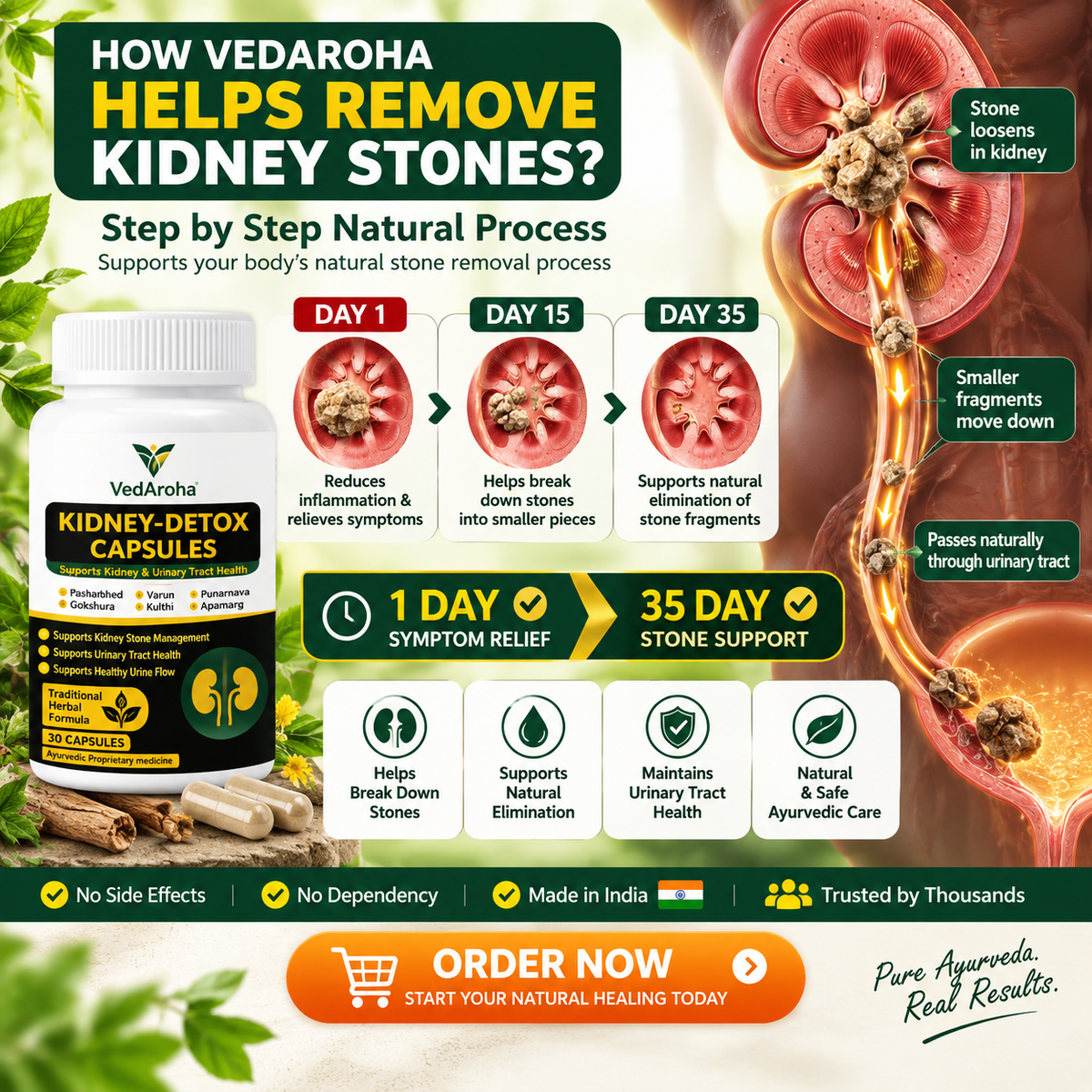 VedAroha Stone Out Tablets | Kidney & Bladder Stone Remover | Ayurvedic