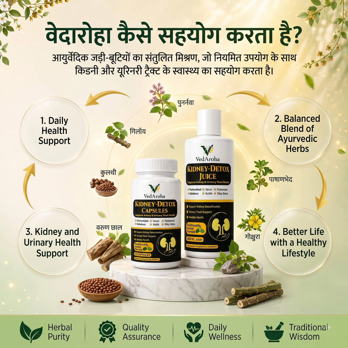 VedAroha Kidney Care Juice | Stone Relief | Punarnava, Gokshura & Varuna