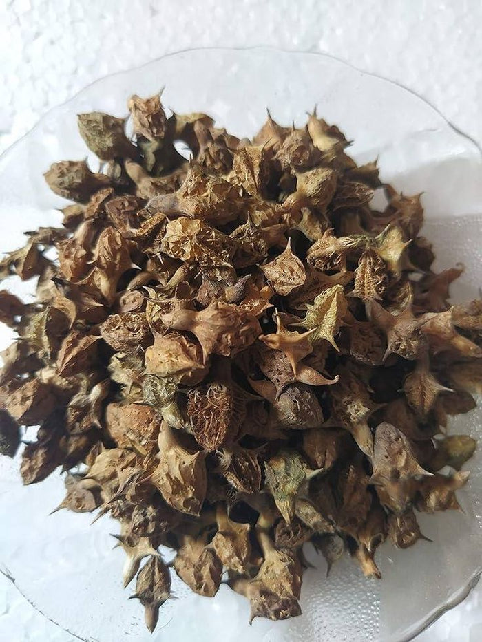 गोखरू