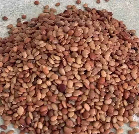 कुल्थी
